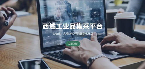 西域入選2020年上海市產(chǎn)業(yè)電商 雙推 企業(yè)